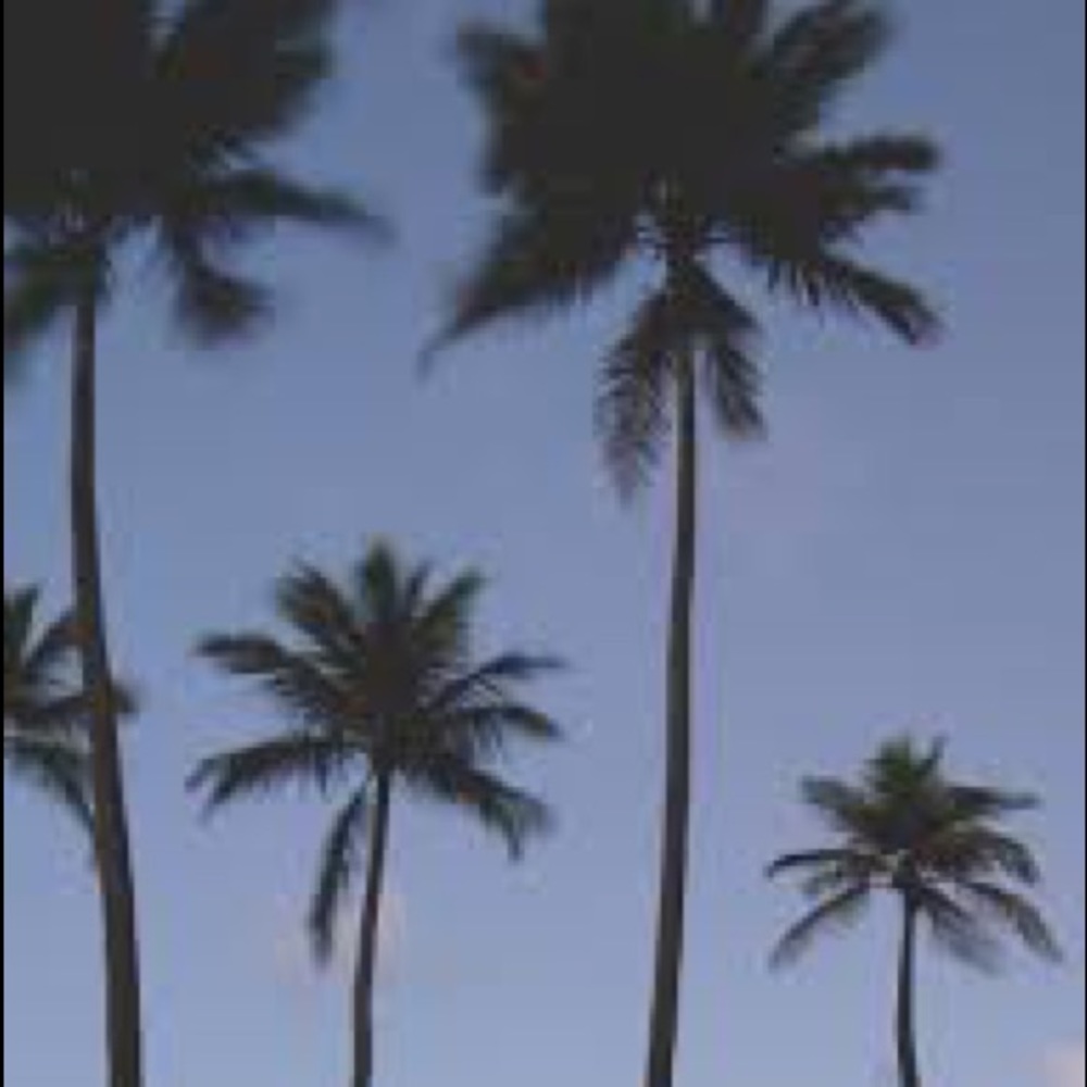 Meet your Posher, Gaby